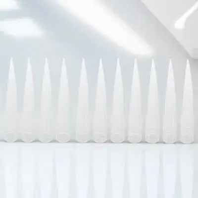 

100pcs Mud Inserted Tube Holder Floral Arrangement Transparent Plastic Tube For Fresh Flower Cake Spikes Diy Flower Art Wedding