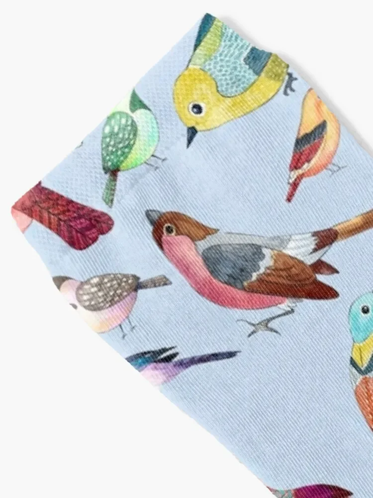 Cute Colorful Birds Socks fashionable Thermal man winter Socks Men's Women's