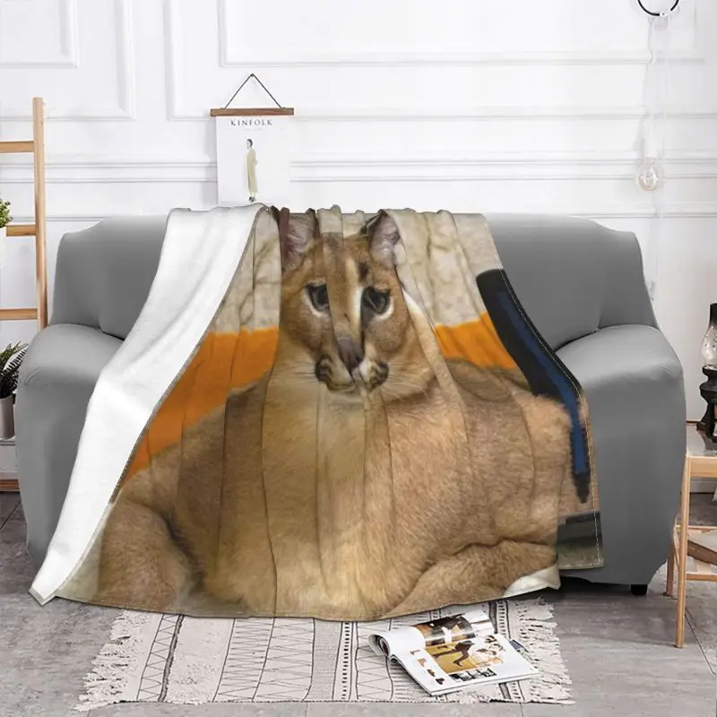 Floppa Cat Funny Meme 3D Printed Blankets Breathable Soft Flannel Summer Caracal Throw Blanket for Couch Outdoor Bedding