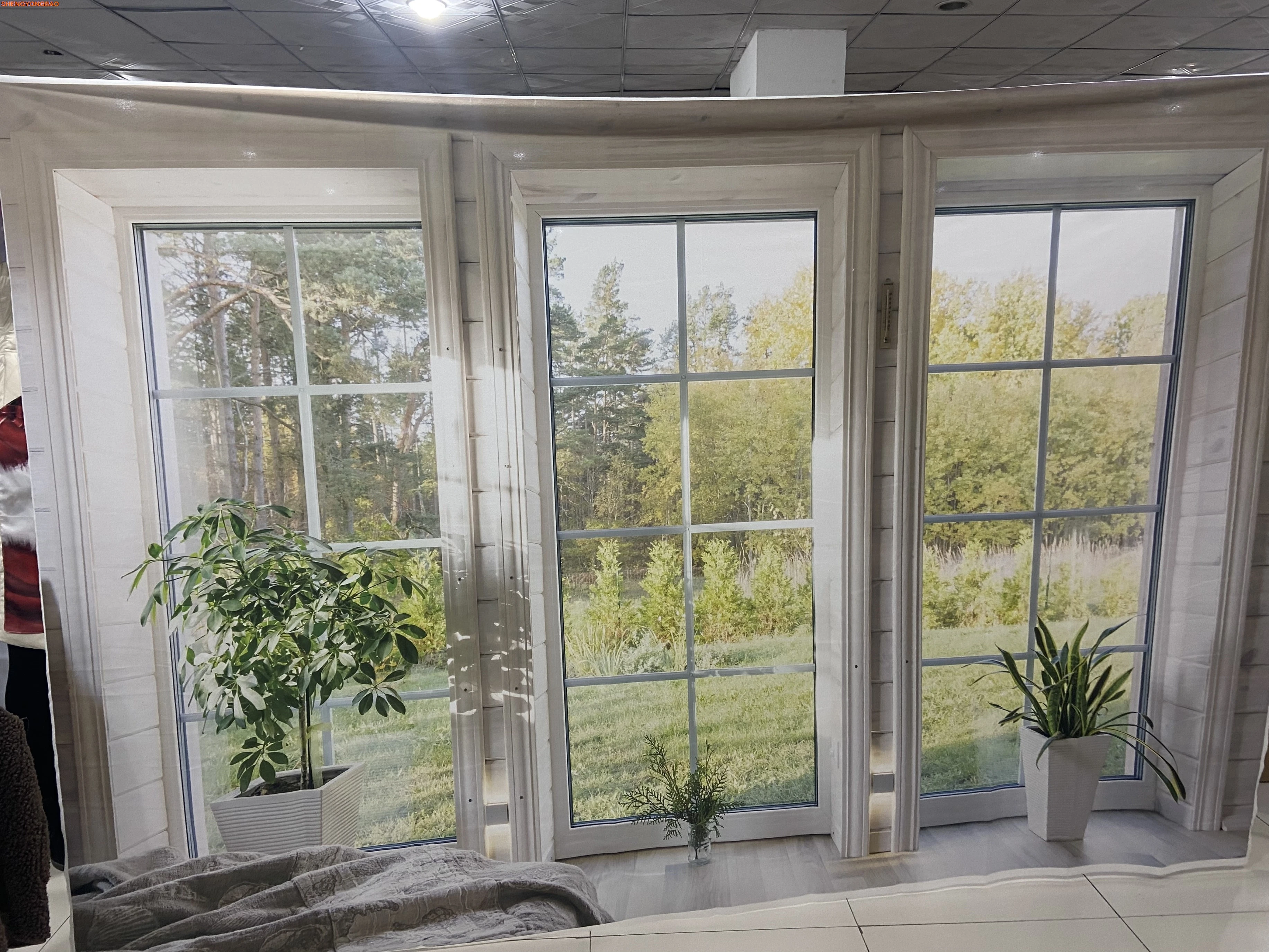 نافذة مشهد الربيع زهرة المشهد خلفية الصيف شاطئ البحر المحيط المشهد مكتب التصوير خلفية لاستوديو الصور