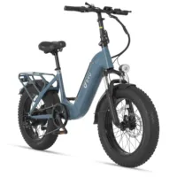 DYU FF500 Adult 500W Electric Mountain Bicycle Men's Ebike with 48V 14Ah Battery 20 X 4.0 Fat Tire Cycling Electric Bike