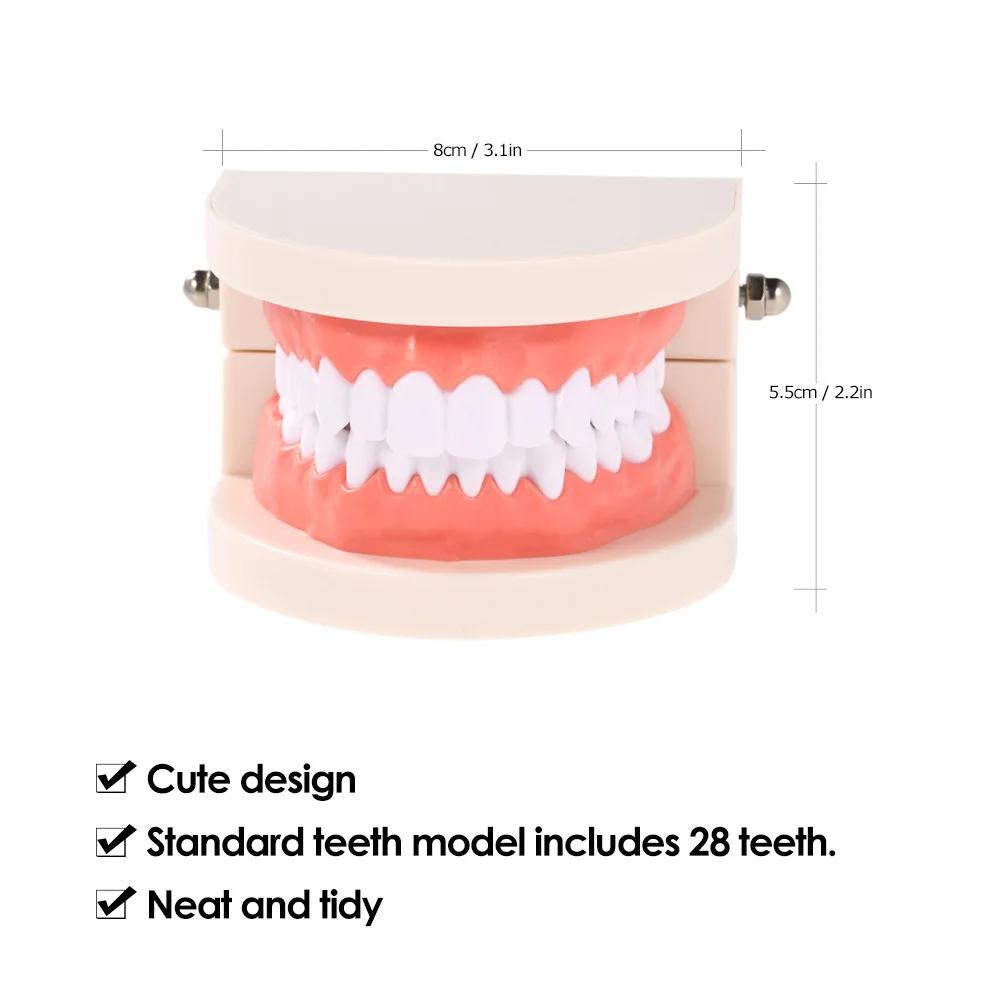 PIORPOY stomatologiczne standardowe zęby dentysta Model badania badania dzieci ubytki demonstracyjne narzędzie stomatologiczne