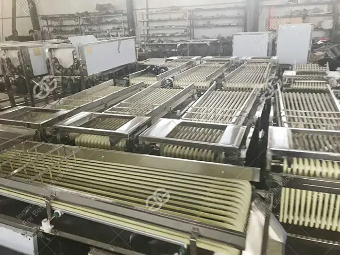 GELGOOG Cherry Tomato Sorter Machine Tomato Sorting Machine