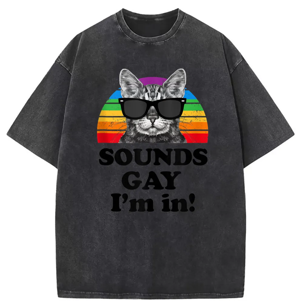 Sounds Gay Im In Cat Street Sweatshirts For Men Fall Tshirts Man Vintage Cotton Clothing Unisex Long Sleeve Funky Tee Shirts