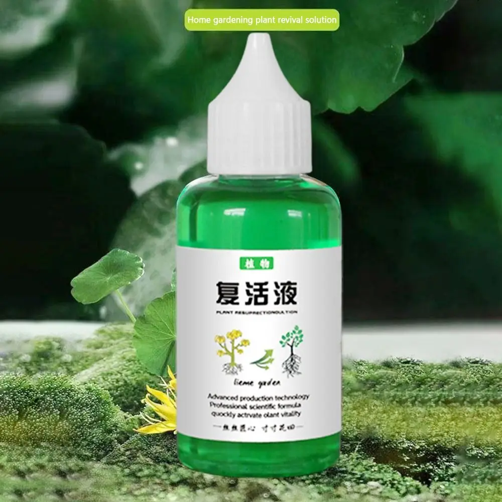 Efficiently Root Stimulator Plant Resurrection Liquid Fruit Liquid Root Booster Root Booster Plant Growth Rooting Nutrient