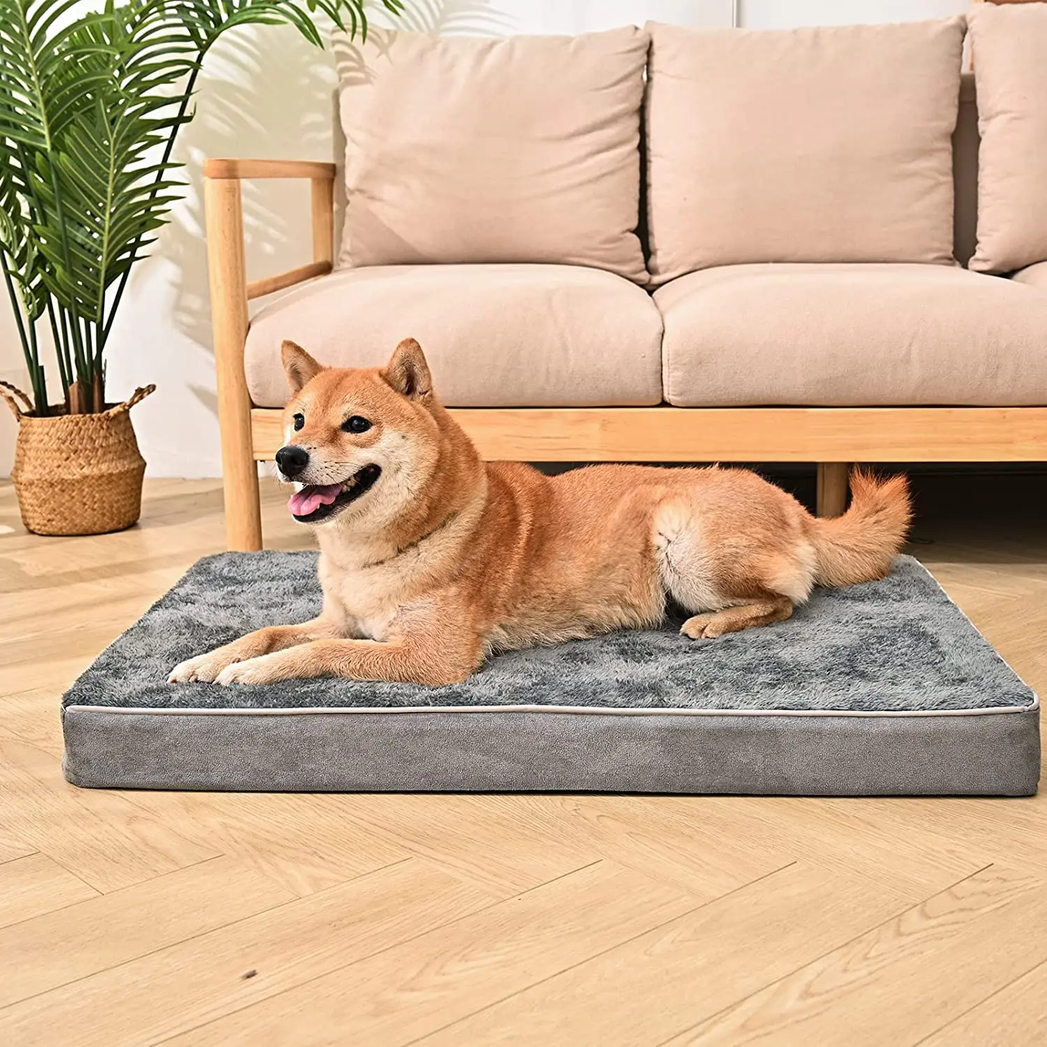 Cat Kennel Summer Sleeping With Small Large Dogs Teddy Pet Cushion Bed Egg Foam Cheap Mat Supplies