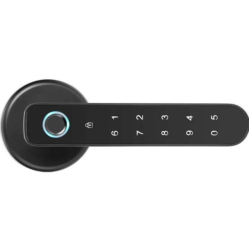 Push Pull Digital Tuya Smart Door Lock Smart Home Magnet Central Passcode High Security Keyless Entry Electric Bolt Door Lock