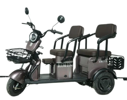 

Hot Sale 600W Central Motor Electric Pedicab Convenient Urban Riding with 48v 60v Three-Speed Adjustment Easy Carrying
