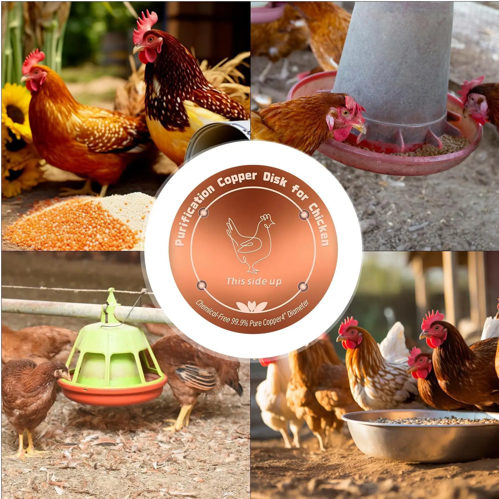 Immagine 6: Disco purificante per vasca per uccelli da 4 pollici, disco in rame per la purificazione dell'acqua, per giardino, patio, prato, fontana, vasca esterna