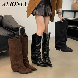 Alionly 2026 New Winter Street Style Pointed Toe Knee-High Boots Women Low Heels Shoes Female Long Booties Zapatos De Mujer