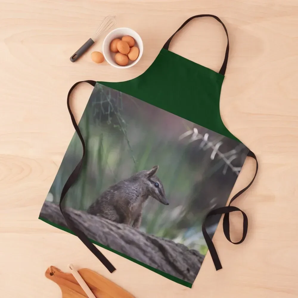 

Cheeky Numbat Apron men's barbecue nail tech supplies manicurist Apron