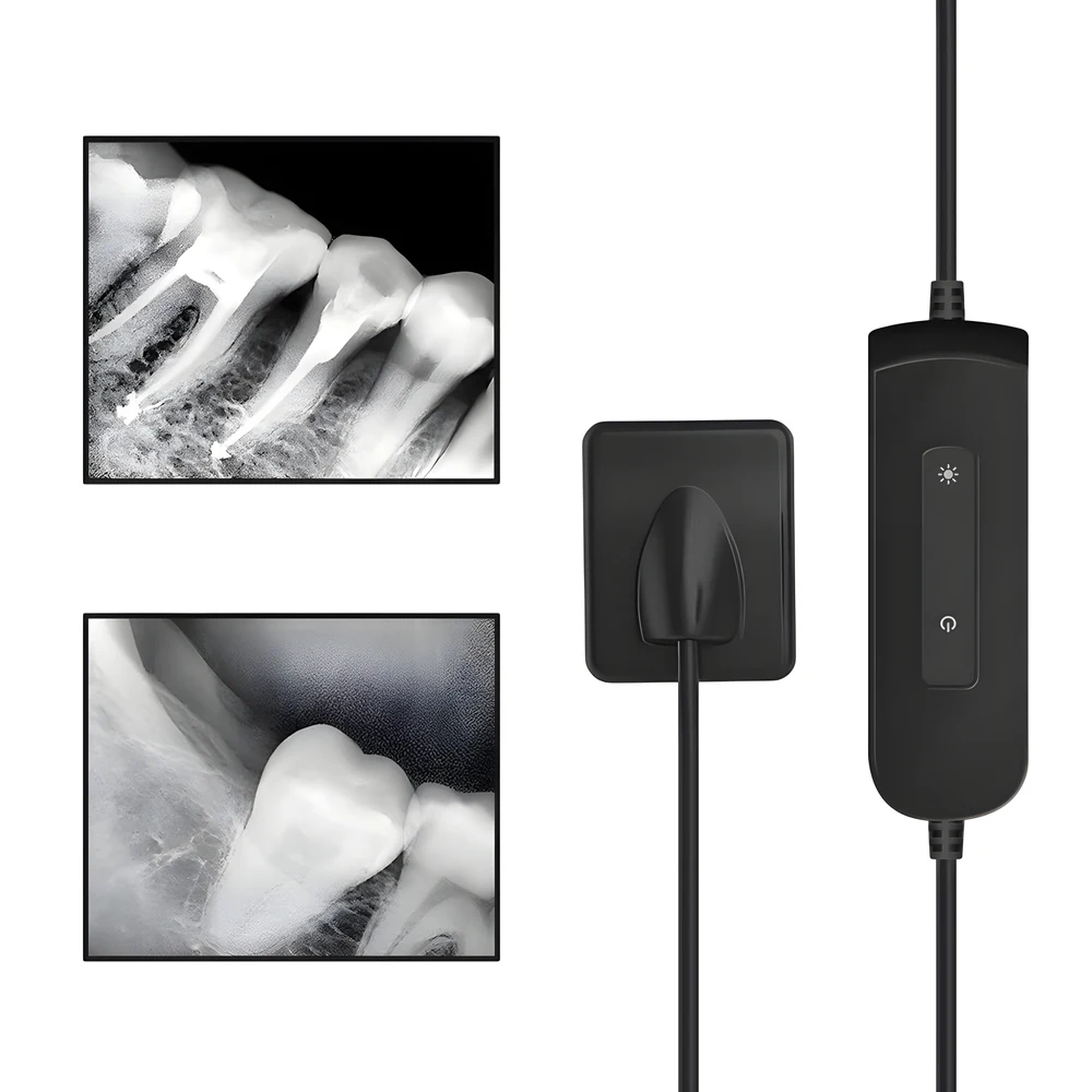 

Dental Sensor X-Ray Radiovisiograph High-Frequency Rx Digital Intraoral System H D Image Dental Digital Sensor
