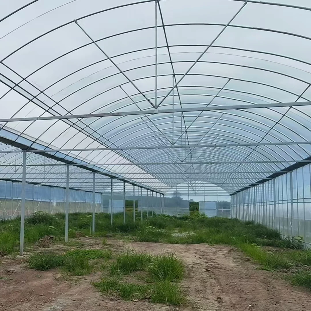 

2025High-Tech Multi Span Greenhouse for Tomato and Vegetable Production Agriculture Workshops & Plants