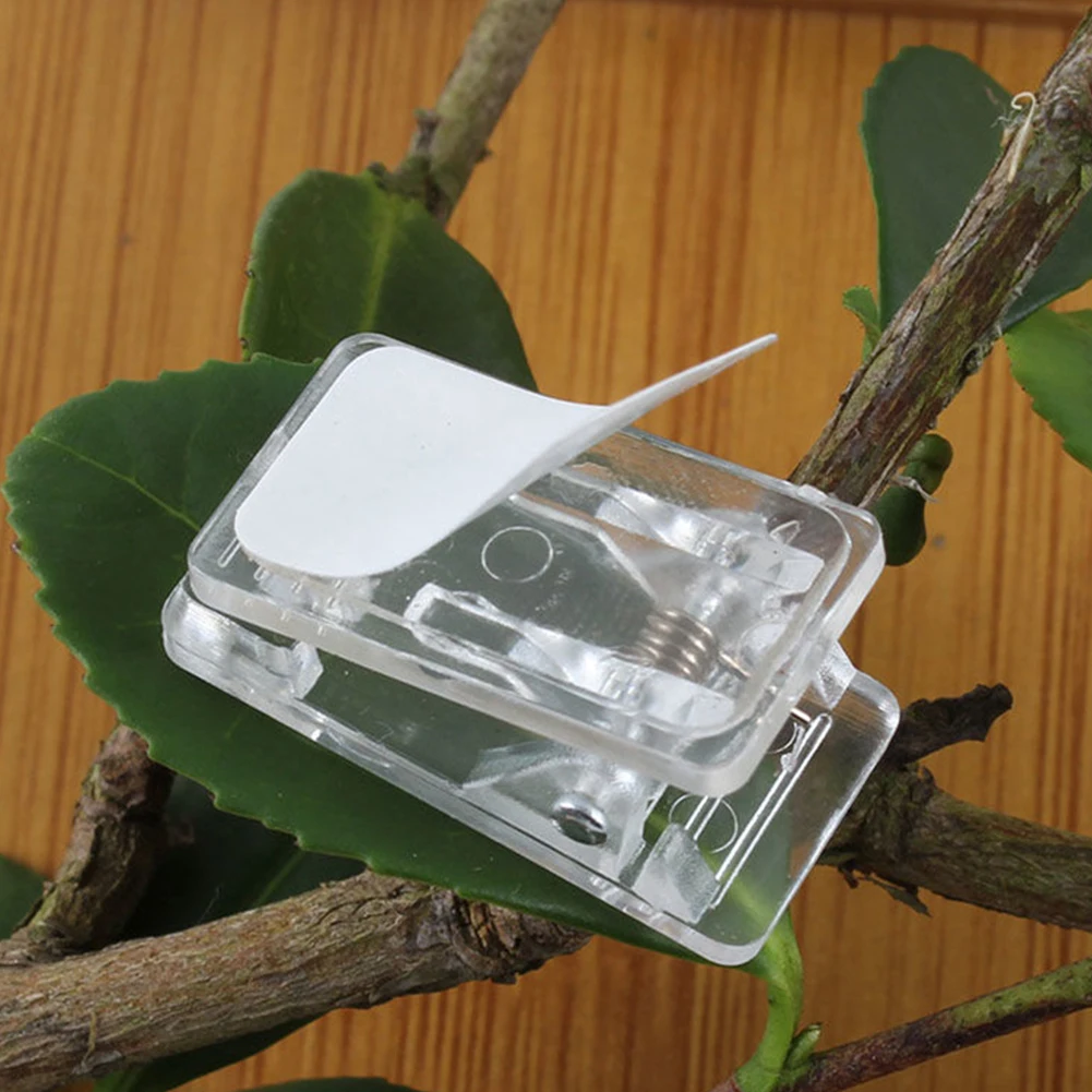 50pcs For Hanging Multifunctional Wall Tapestry Display Spring Loaded Heavy Duty Self Adhesive Clip Small Clear Portable Storage