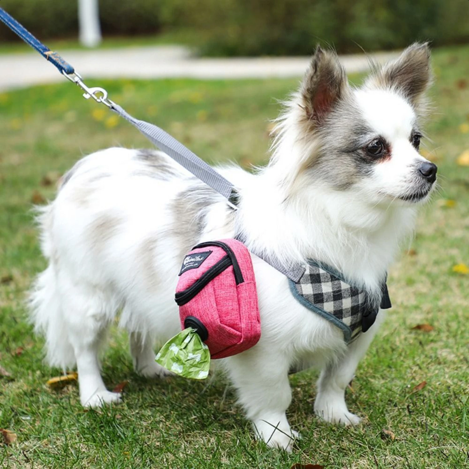 Convenient, spacious, and sleek treat bag for positive reinforcement training. Adjustable drawstring closure ensures treats stay