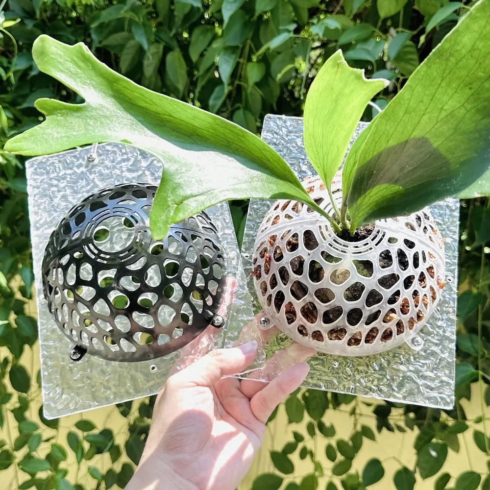 yesHollowed Plants Soil Protector Cover Replaceable Transparent Floral Hole Cover Plastic Aquatic Plant Suspension Ball