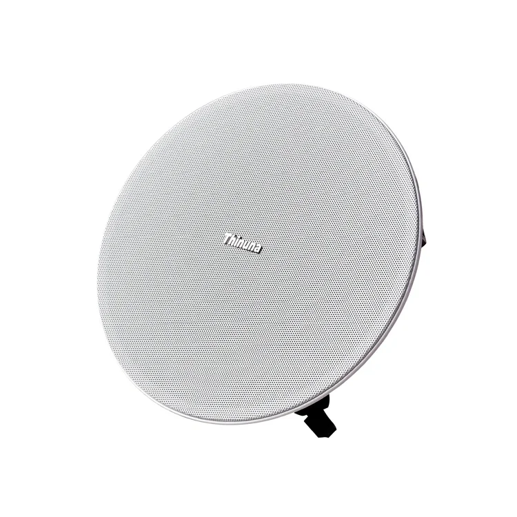 Thinuna GS-5L-BT High Performance 8ohms 30w 2 Way ABS Dual  Bluetooth Wireless Active Ceiling Speaker Built in Class D Amplifier