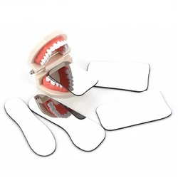 Dental Orthodontic Reflection Single-Sided / Double-Sided High-Definition Glass Intraoral Photography Orthodontic Thick Mirror