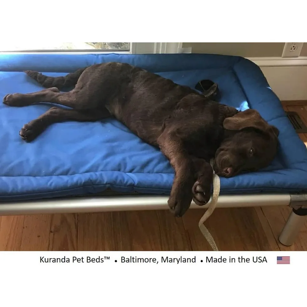 piccolo letto per animali domestici cordura durevole blu royal - 30x20 pollici