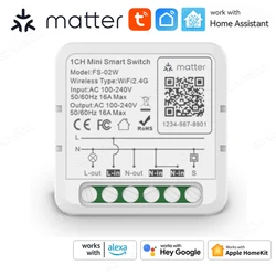 Matter WiFi Smart Switch 16A Smart Home Light Switch Relay Module Voice Control Work with Alexa Google Homekit Tuya Smartlife