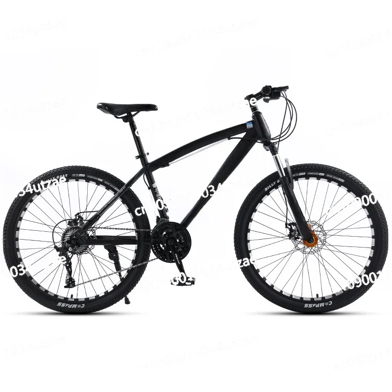 Off-road Variable Speed Mountain Bike