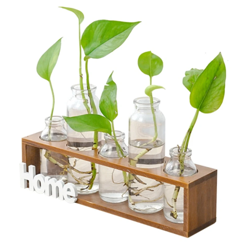 Simple Wood Hydroponic Glass Vase Plant Transparent Flower Arranger Living Room Home Decoration Pieces