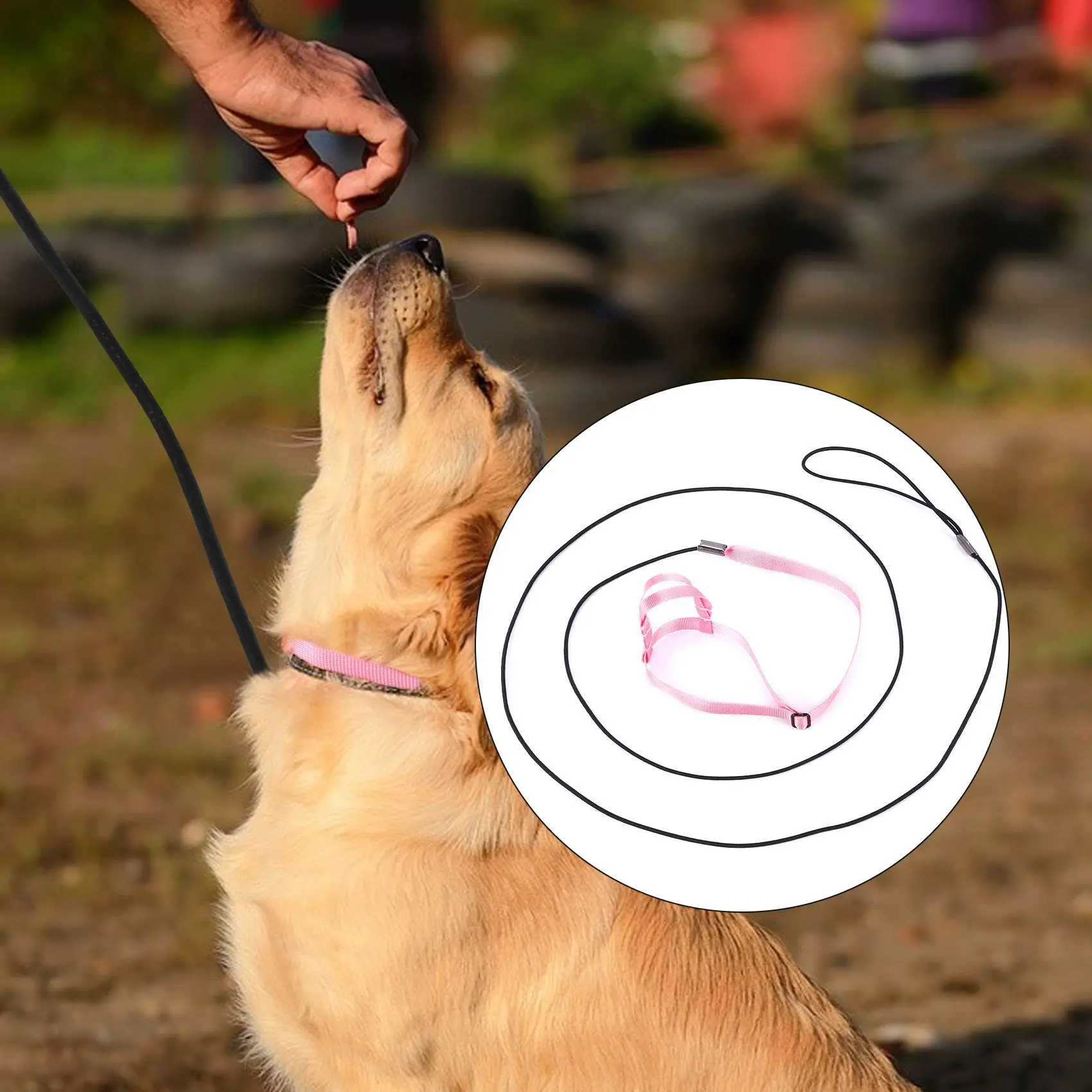 ABJS Pet Bird Harness and Leash,Adjustable Parrot Bird Harness Leash - Pet Anti-Bite Training Rope Outdoor Flying Harness and Le