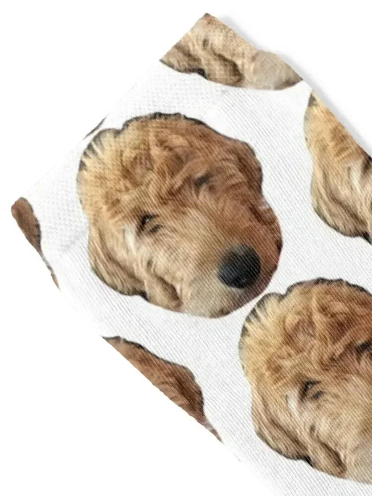 Goldendoodle Dog Photo Socks man professional running funny gift Rugby Male Socks Women's