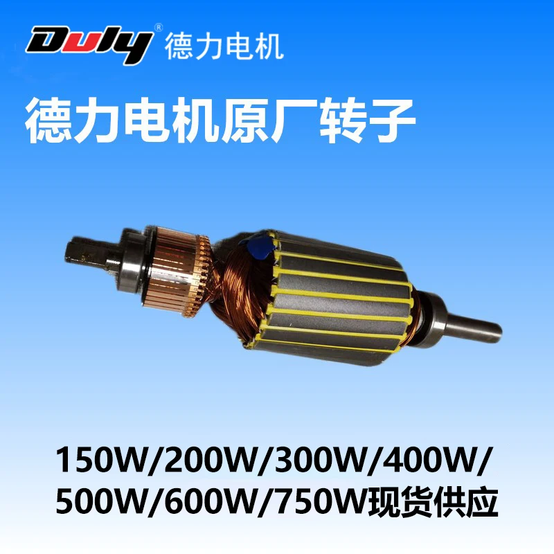 Permanent magnet DC motor rotor ZYT22-22018 rotor accessory 300W 220V