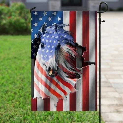 Horse American Flag Graden Flag JJE DDI GGX