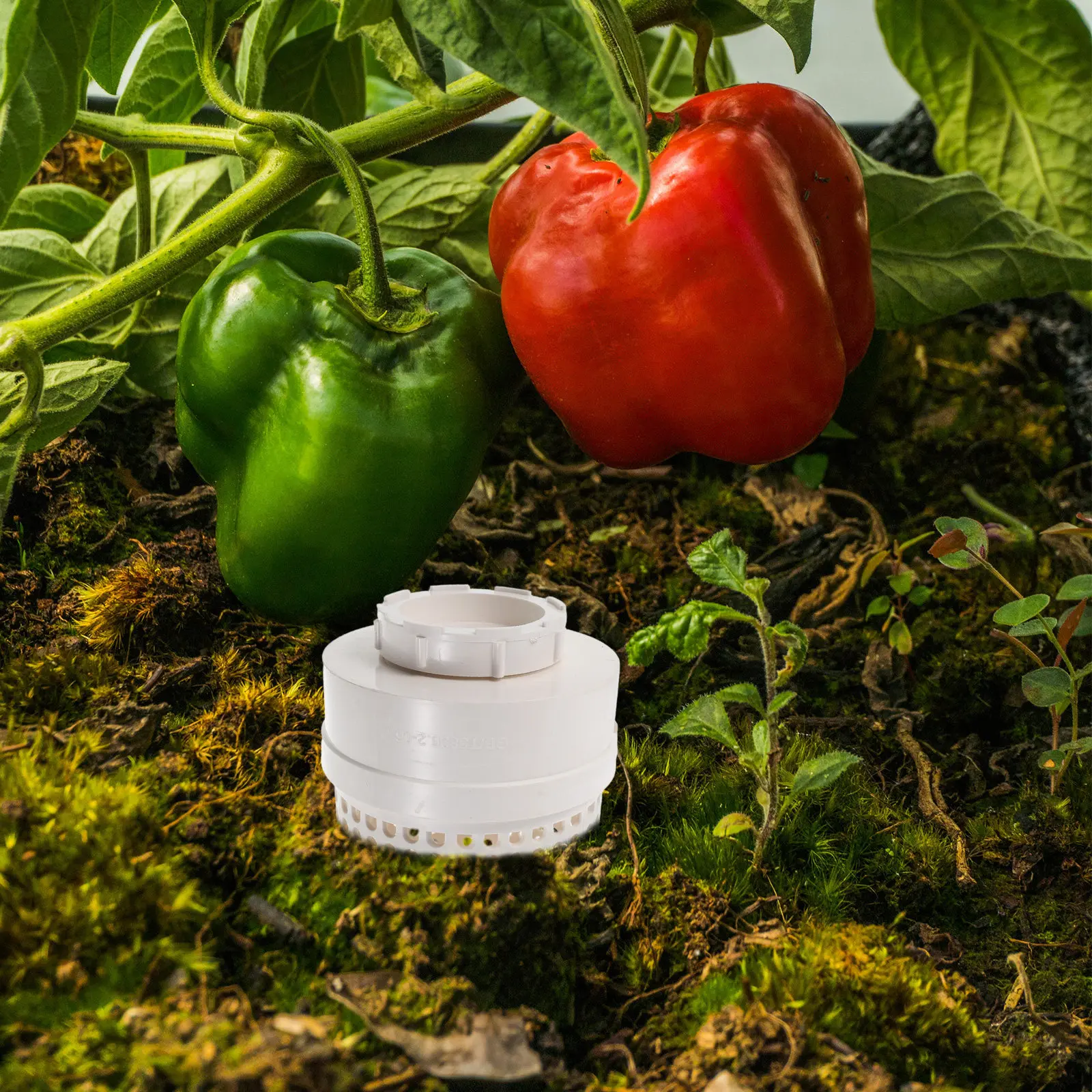 Outdoor Plastic Worm Farm Container Inground Compost Bin Ventilated Lid Holes for Food Scrap Recycling Food Waste Recycling Bin