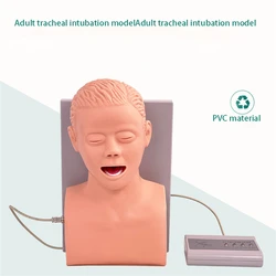 Mannequin pour adulte, modèle d'enseignement et d'apprentissage de la gestion des voies respiratoires, en PVC avec dents, 110-220V