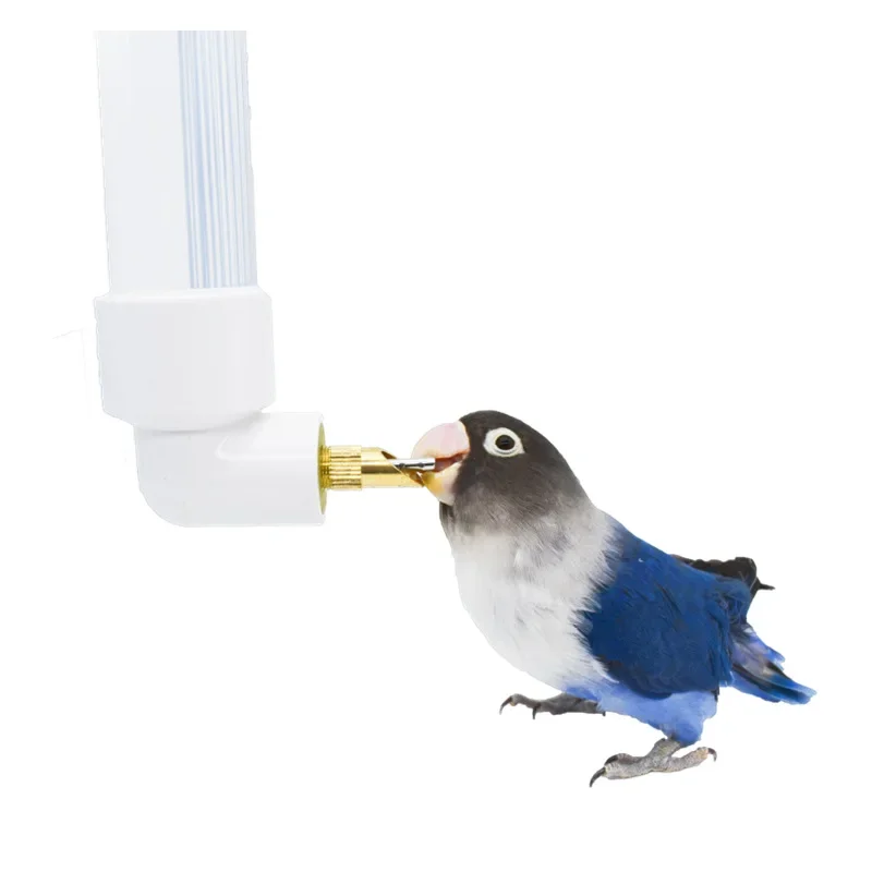 #5 Trending Squirrel Feeders Right Now