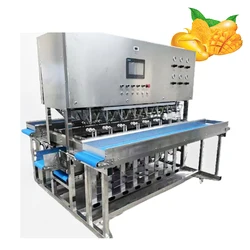 Fruit Vegetable Peeling Machine Skin Removing Machine Mango Peeler Slicer Motor New Product Provided Japan Automatic Fruit Made