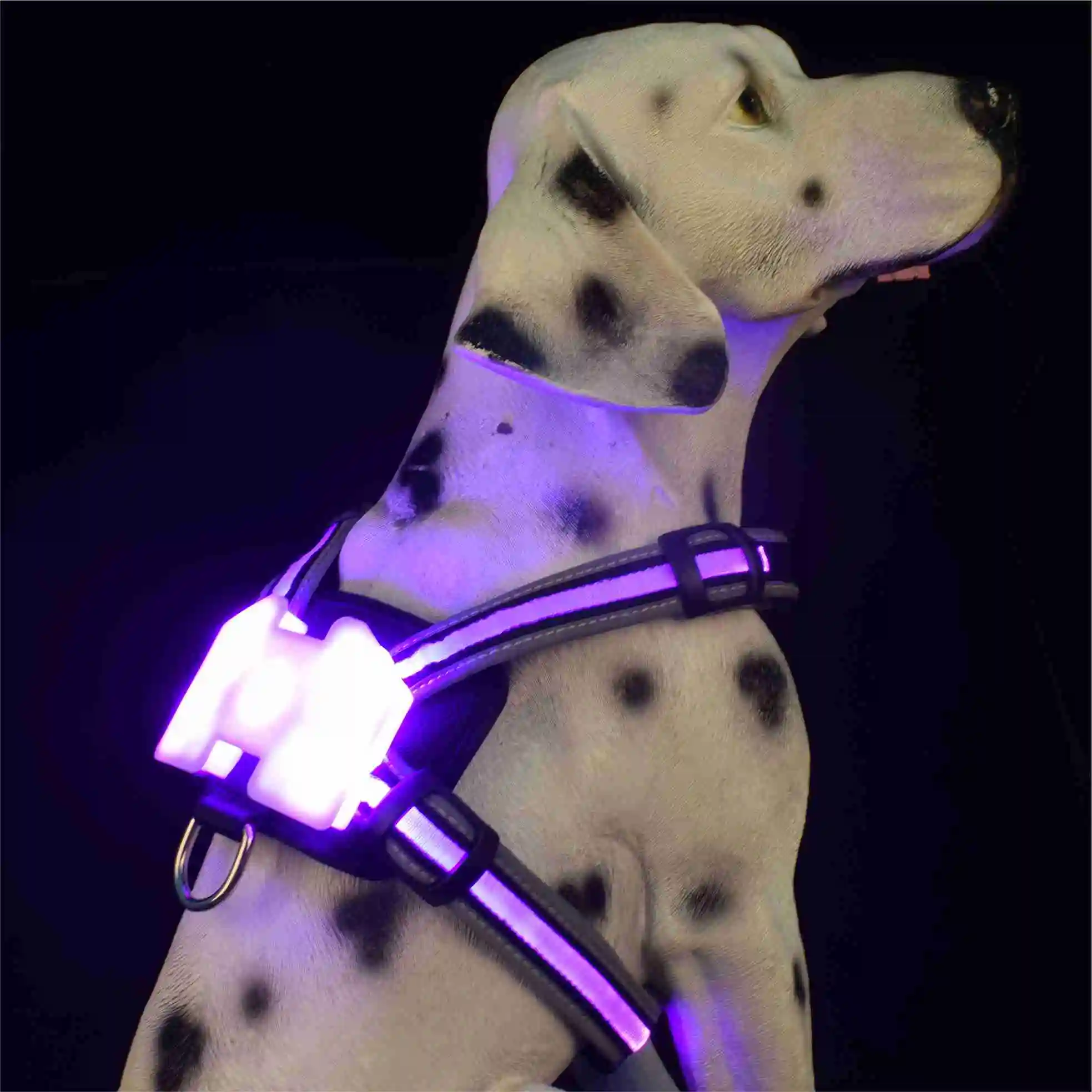 Waterproof LED Dog Harness for Dogs, Charging Dog Accessories, Large Reflective Harness for Dogs