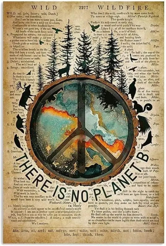 Metal tin Sign Plaque There is No Planet B Retro Metal Tin Sign Vintage Aluminum Sign for Home Decor Room Metal Decor 8x12  sign