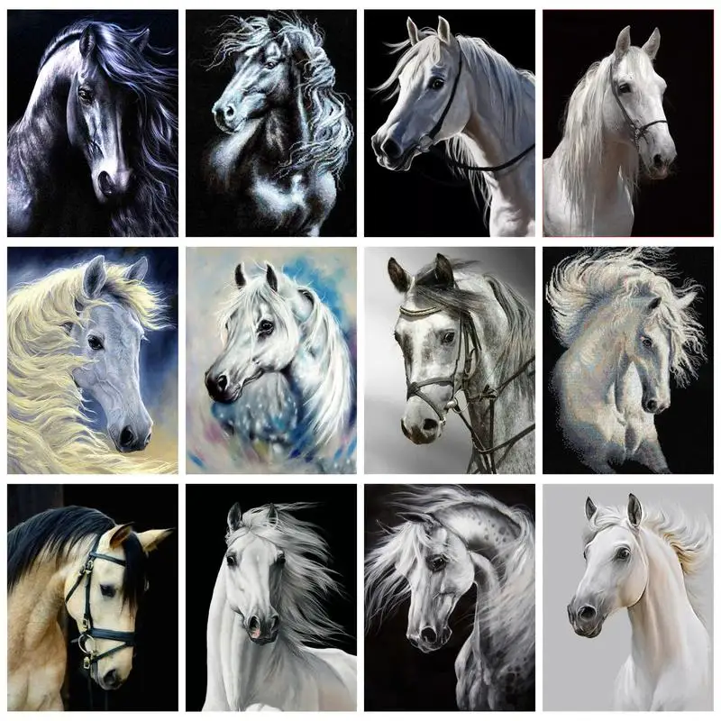 GATYZTORY Modern Painting By Numbers Frame White Horse For Adults Kids Wall Art Paint Kit Diy Gift Home Handmade Acrylic Paints