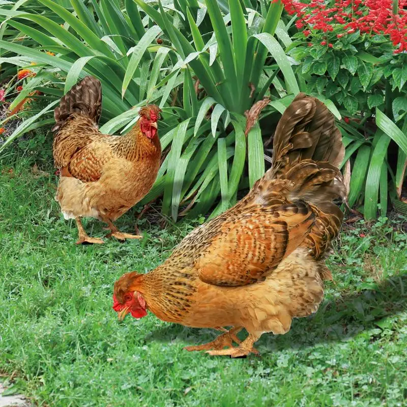 Chicken Yard Decorations Acrylic Hen Garden Stake Weatherproof Animal Sculpture Realistic Ground Plug Rooster For Garden Patio