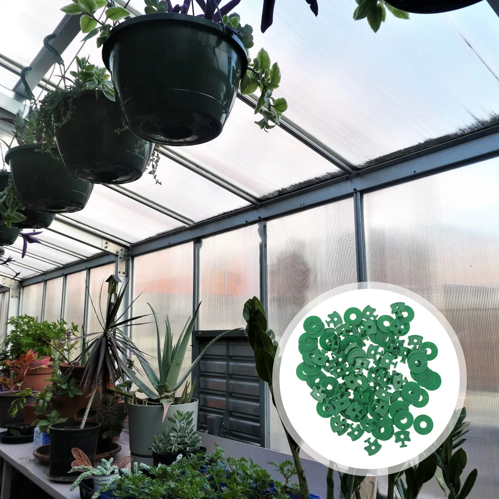 

50 Sets Greenhouse Clips PP Durable Garden Accessories Hanging Tools Plant Hanger Easy Use Long Time Sturdy Design Versatile