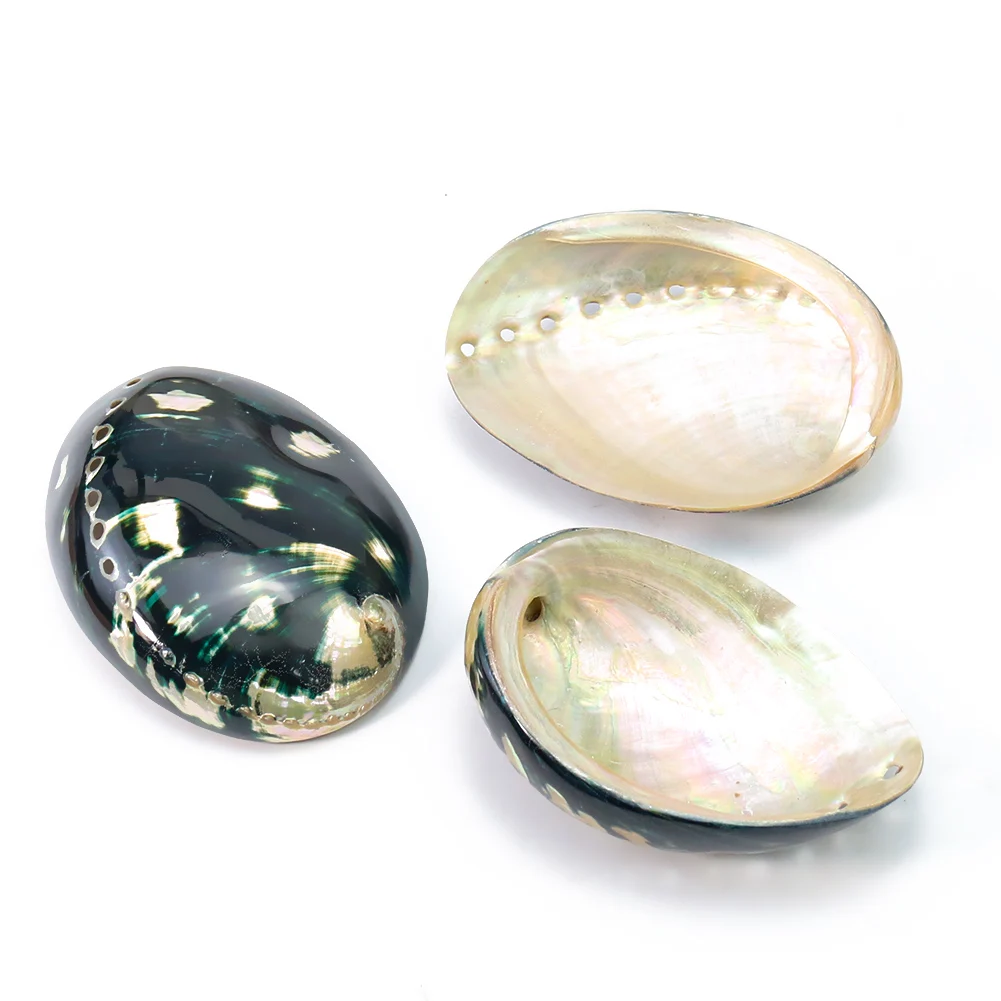 Natural New Zealand Black Gold Abalone Smooth Luster Scallop Seashell Nautical Specimen Altar Divination Aquarium Decor