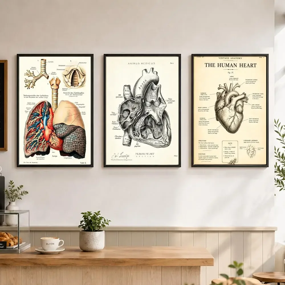 pattern Retro Human Organ Chart Poster HD Printing Cozy and Warm Style for Home Decor for Living Room Bedrooms Gift Giving