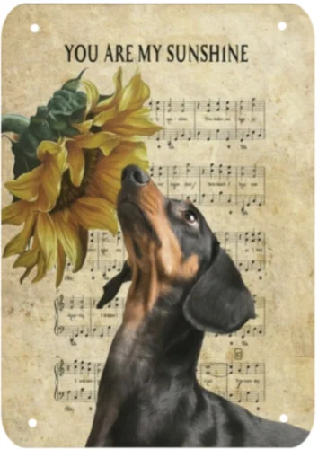 DASCHUND DOG YOU ARE MY SUNSHINE ON MUSIC SHEET METAL SIGN PLAQUE