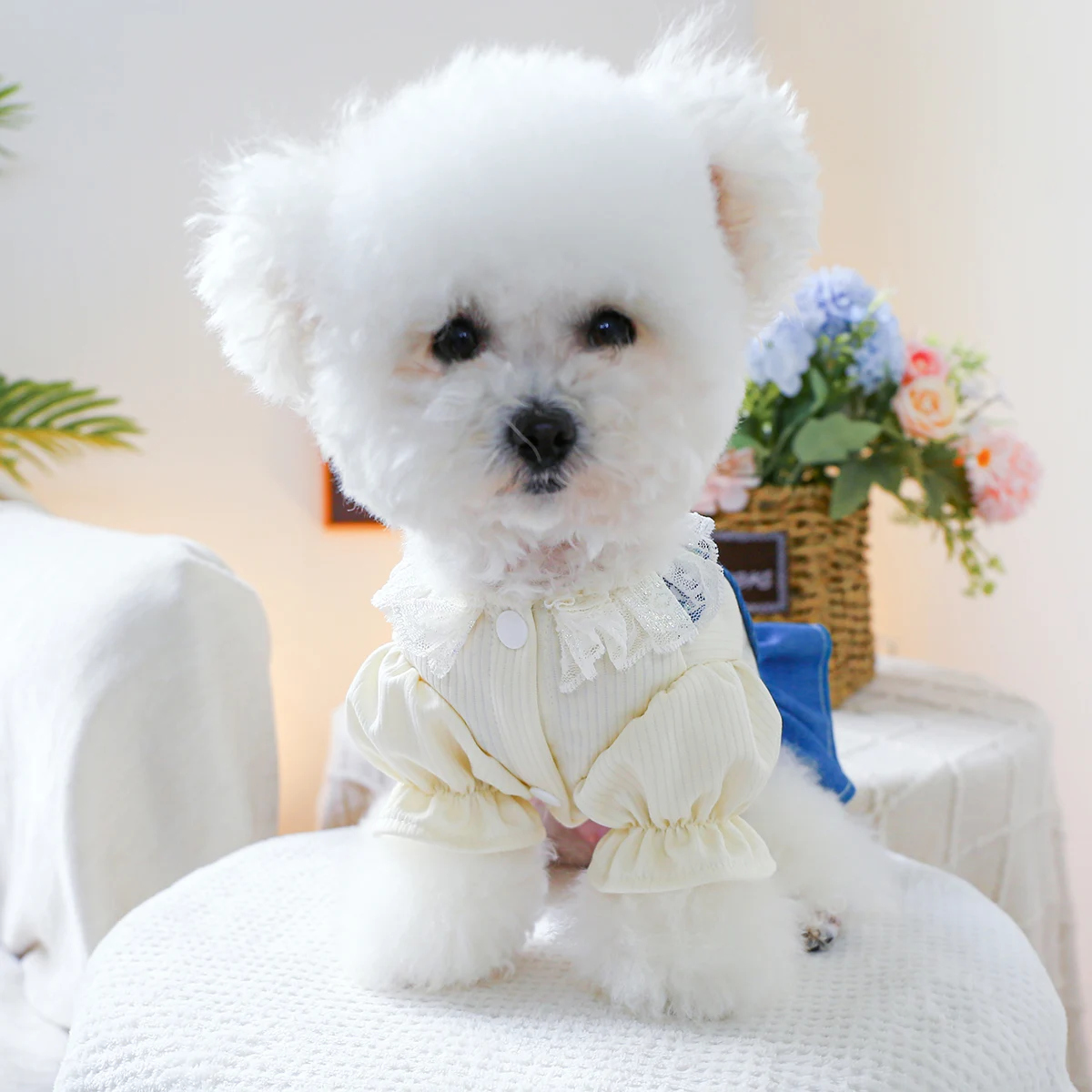 1PC Pet Clothing Spring and Autumn Heartbeat Cowboy Princess Skirt Suitable for Small and Medium sized Dogs