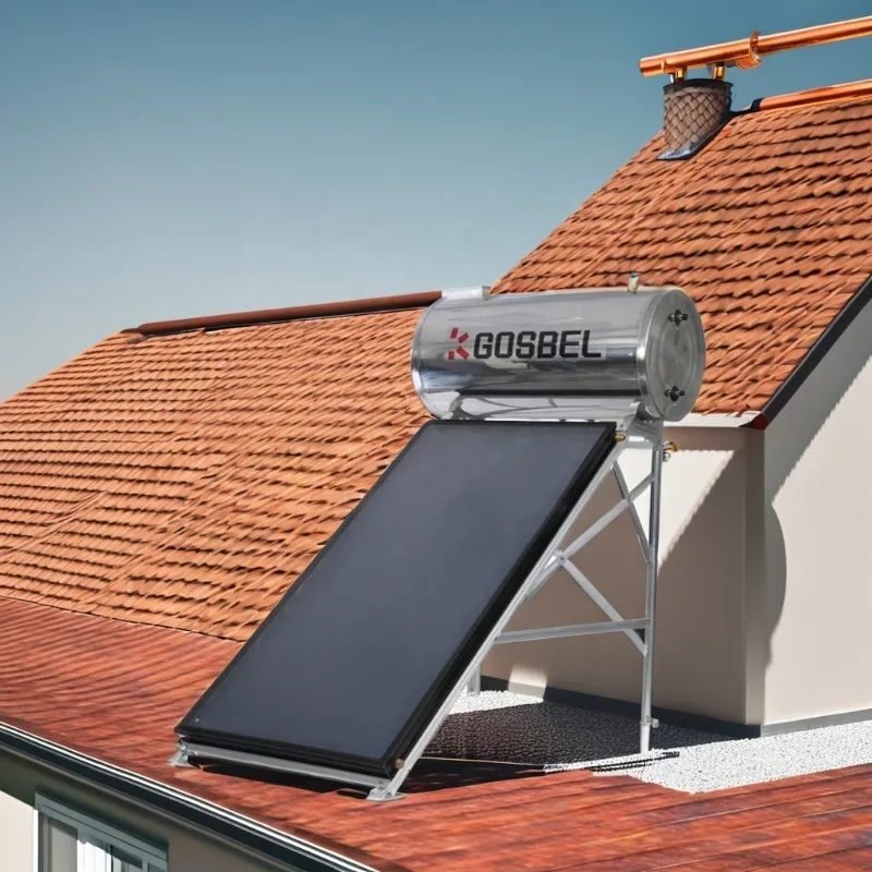 

[Hot Sale] GOSBEL Factory Provide Energy Star Water Heater Geyser Solar Water Heater Solar Heater For Room Electric Heating