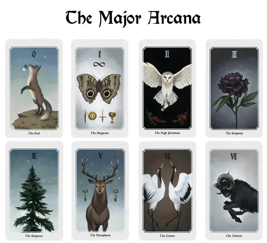 Anima Mundi Tarot 78pcs cards 1: 1 Size Gilded Edge Guide book Tarot Board games