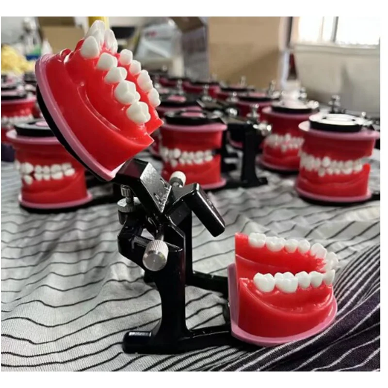 

High-quality DentalS Implants Models Medical Dentistry Red Wax Tooth Models
