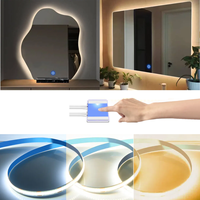 USB 5V Mirror Backlight COB LED Strip Lights With Dimmable Touch Sensor Switch For Bathroom Makeup Mirror Bedroom Table Lighting