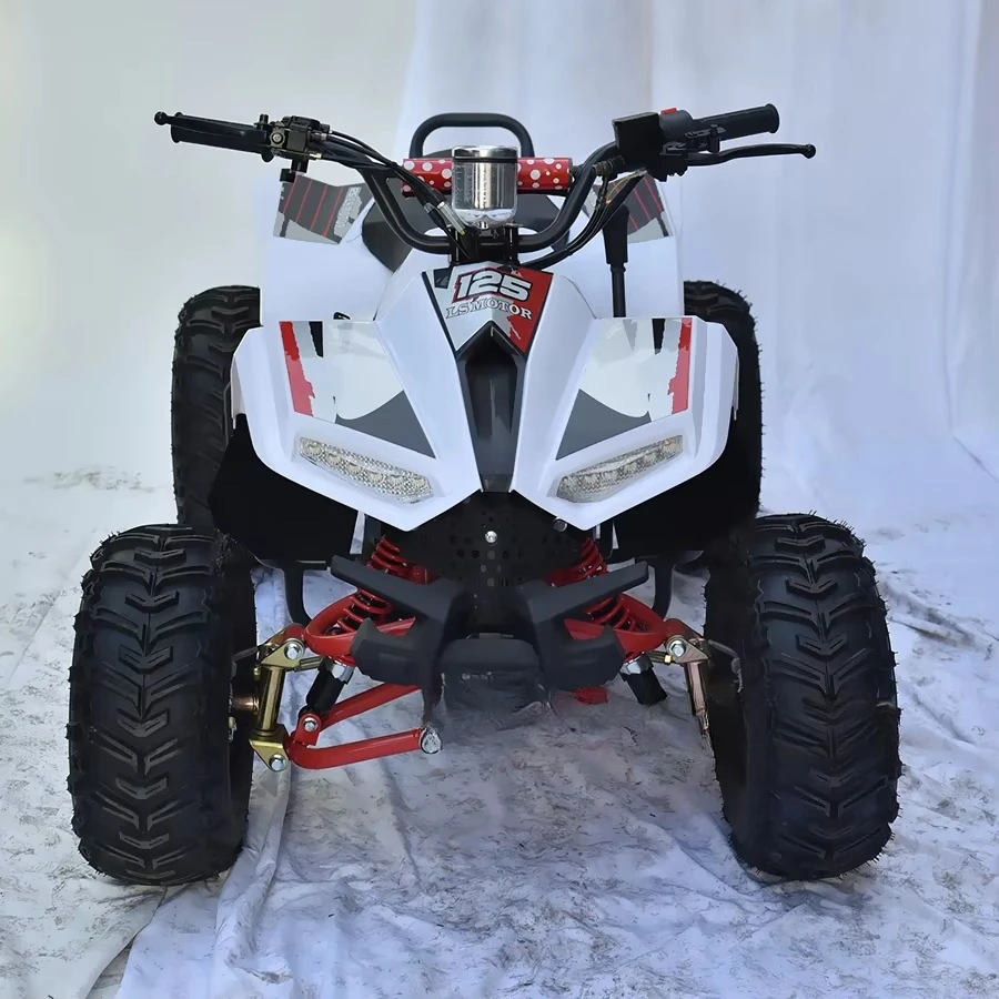Professional Factory 110cc Aurui Youth Quad With 4 Wheels