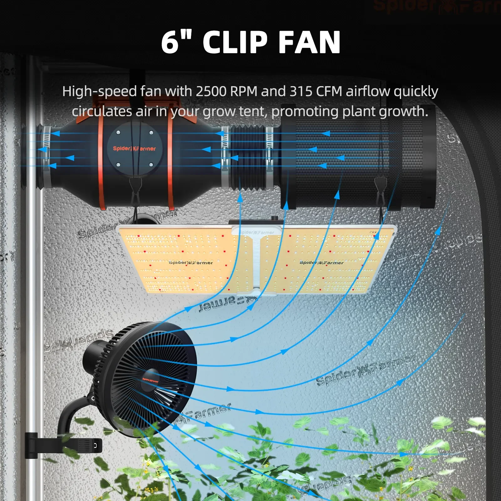 60CM*120CM Grow Tent Kit Complete 200W Light 2x4 1680D Hydroponic Grow Box For Indoor Growing Spider Farmer SF2000