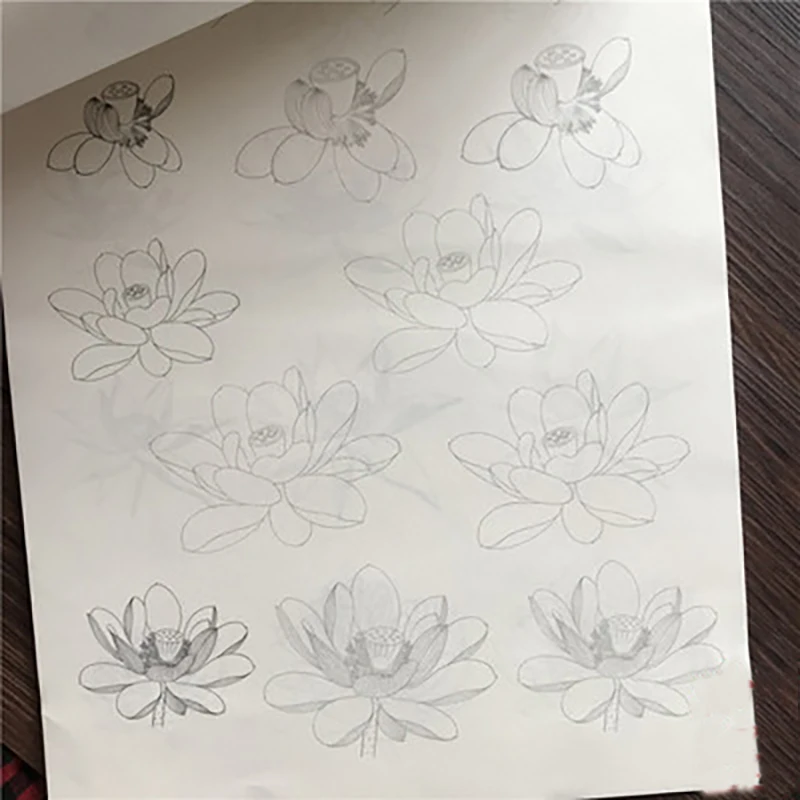 Fine Brushwork Line Drawing Zero Basic Copybook per Landscape Stone Mountain Animal Bird Flower Plants